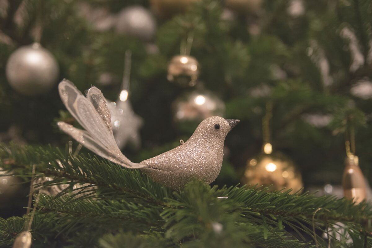 A white plastic dove ornament sitting in a Christmas tree
