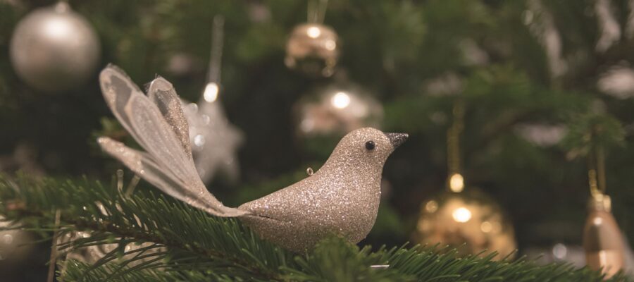 A white plastic dove ornament sitting in a Christmas tree